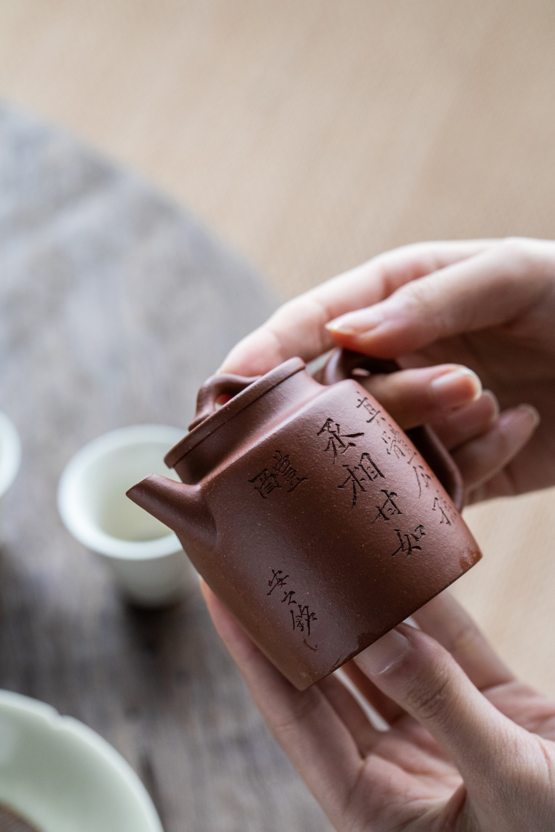  hands holding a teapot up to natural light